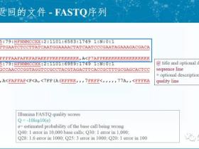 FASTQ格式解释和质量评估